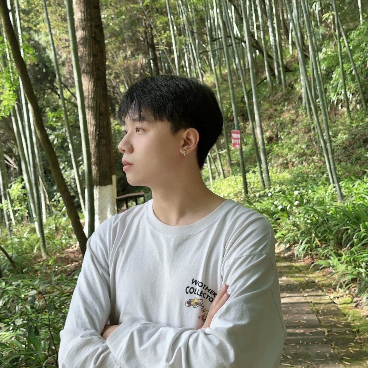 ShermanXiaoo's tweet photo. Forest🌲 https://t.co/aufv2x7xxf