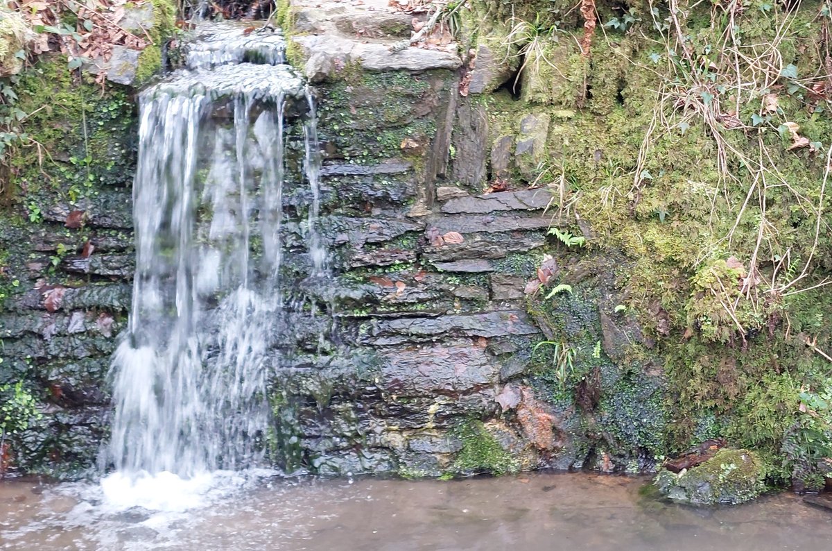 BevHunt72's tweet photo. So #Walk25 of my 55 Walk challenge for #OneMedicine @HumanimalTrust is going well..have been on the woodland walk at #Trelissick #Cornwall..and seen lots of signs of Spring..next stop #RoundQuay..π
https://t.co/9UUUGXoP5Q https://t.co/GRakZ9pH2k