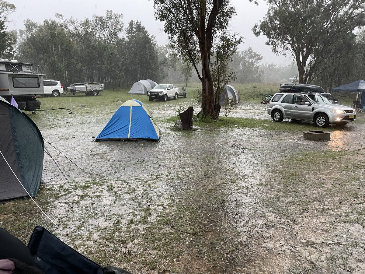 Bill Adams tweet media