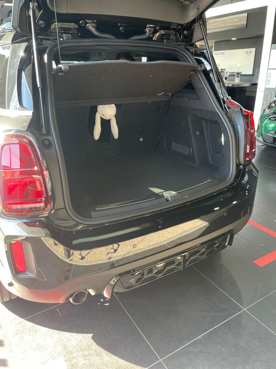 SytnerMINI's tweet image. Ginny is hiding in the MINI Countryman… with tons of space for Easter adventures can you spot her? #minicountryman #wheresginny #ginnyinthemini #sytnermini #minirange #miniuk #minielectric #minicars