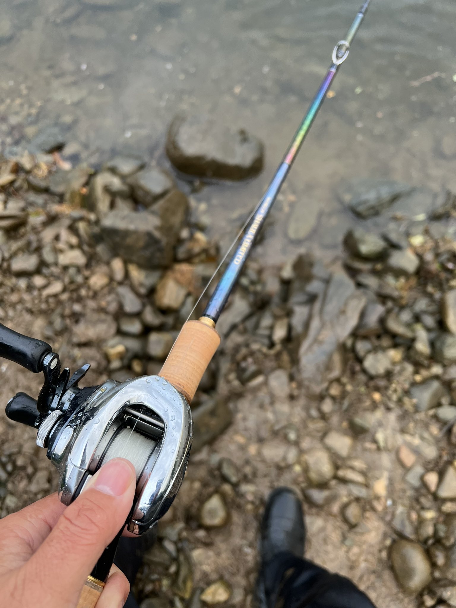 ワールドシャウラリミテッド1702 【公式通販】