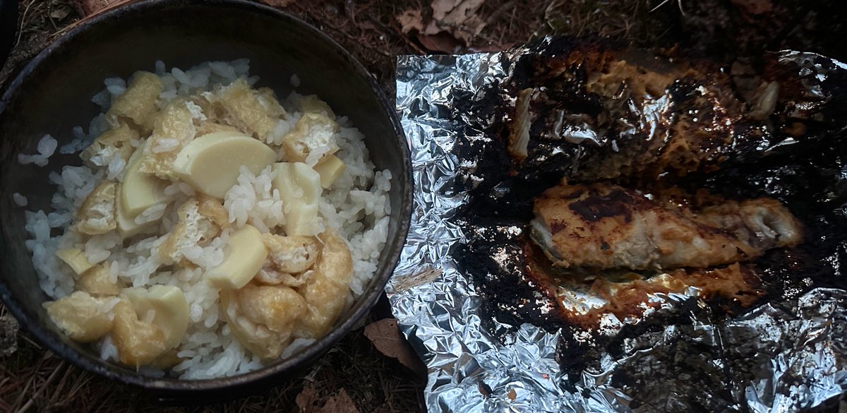 gowacaex's tweet photo. たけのこご飯と鰆の西京焼き。西京焼きは味噌が焦げるけど本体は無事でした😀 https://t.co/OF5T5j3xPO