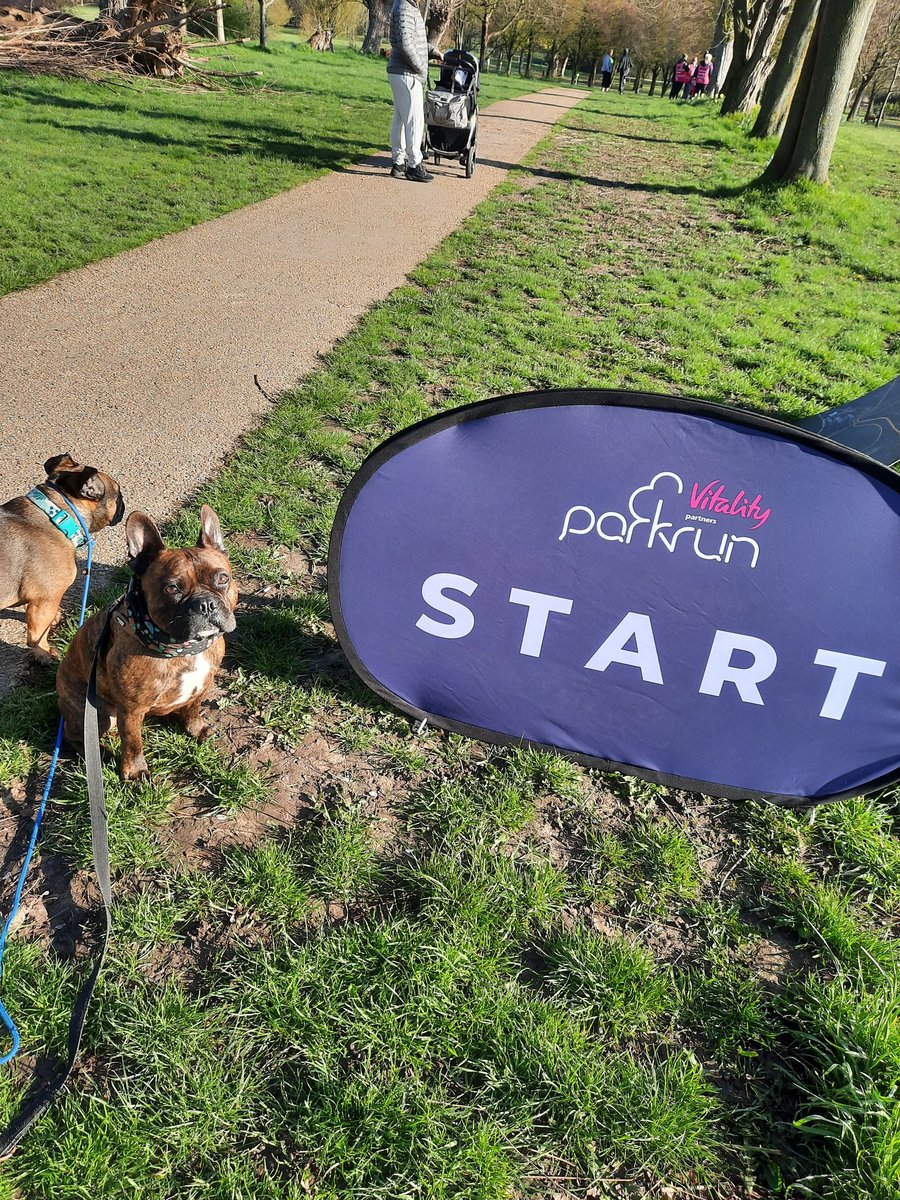 Katie's Paws and Chores tweet media