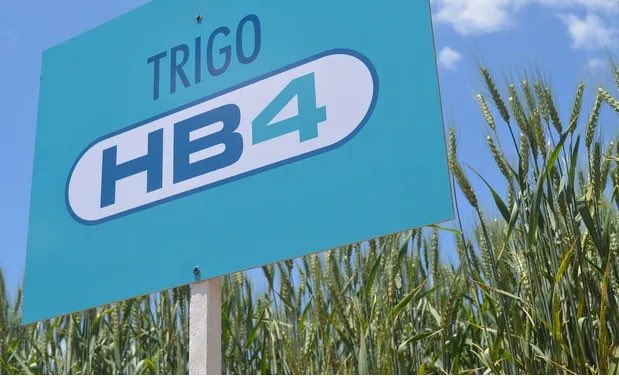 mundo_distopico's tweet photo. Para los que militan el etiquetado frontal de Havanna pero se comen una pizza vegana con glufosinato de amonio aprobado por SU gobierno, chupense esta p1ja put0s.
🤡🤡🤡 

#hb4 #transgenico #transfobico #viernessanto #roncaglia #jesus #rusher #chinasuarez https://t.co/l4ZVkq8XBR
