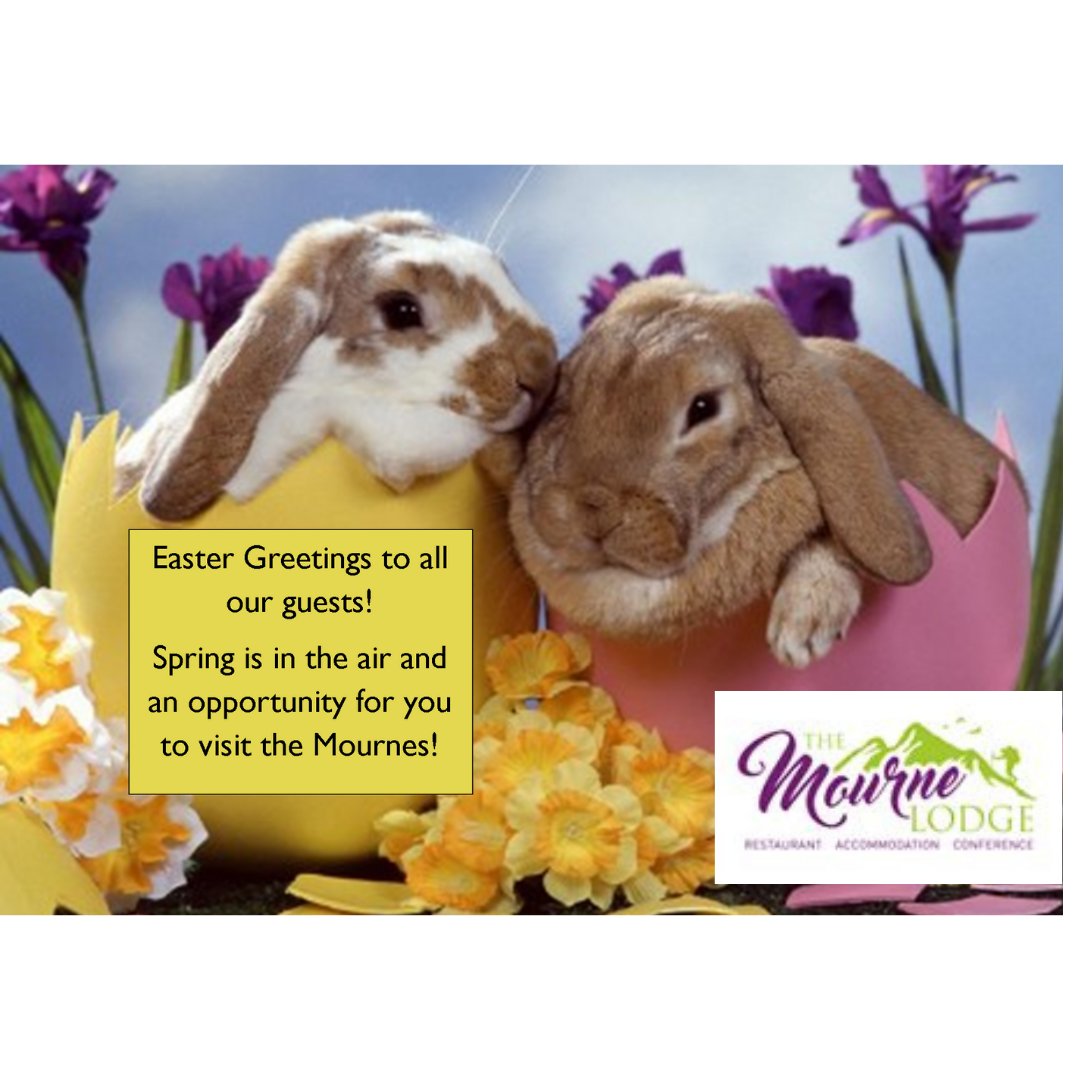 The Mourne Lodge tweet media