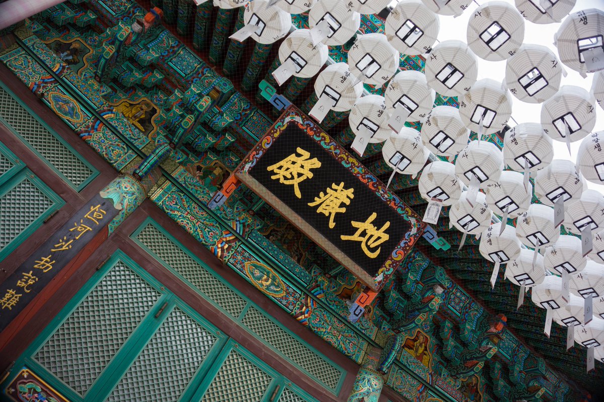 SheyaChan's tweet photo. I'm in love with temples and palaces architecture.

📍 Bongeunsa temple, Seoul, South Korea

#SouthKorea #Seoul #BongeunsaTemple #SoloTraveller https://t.co/LVhZkLLNLb