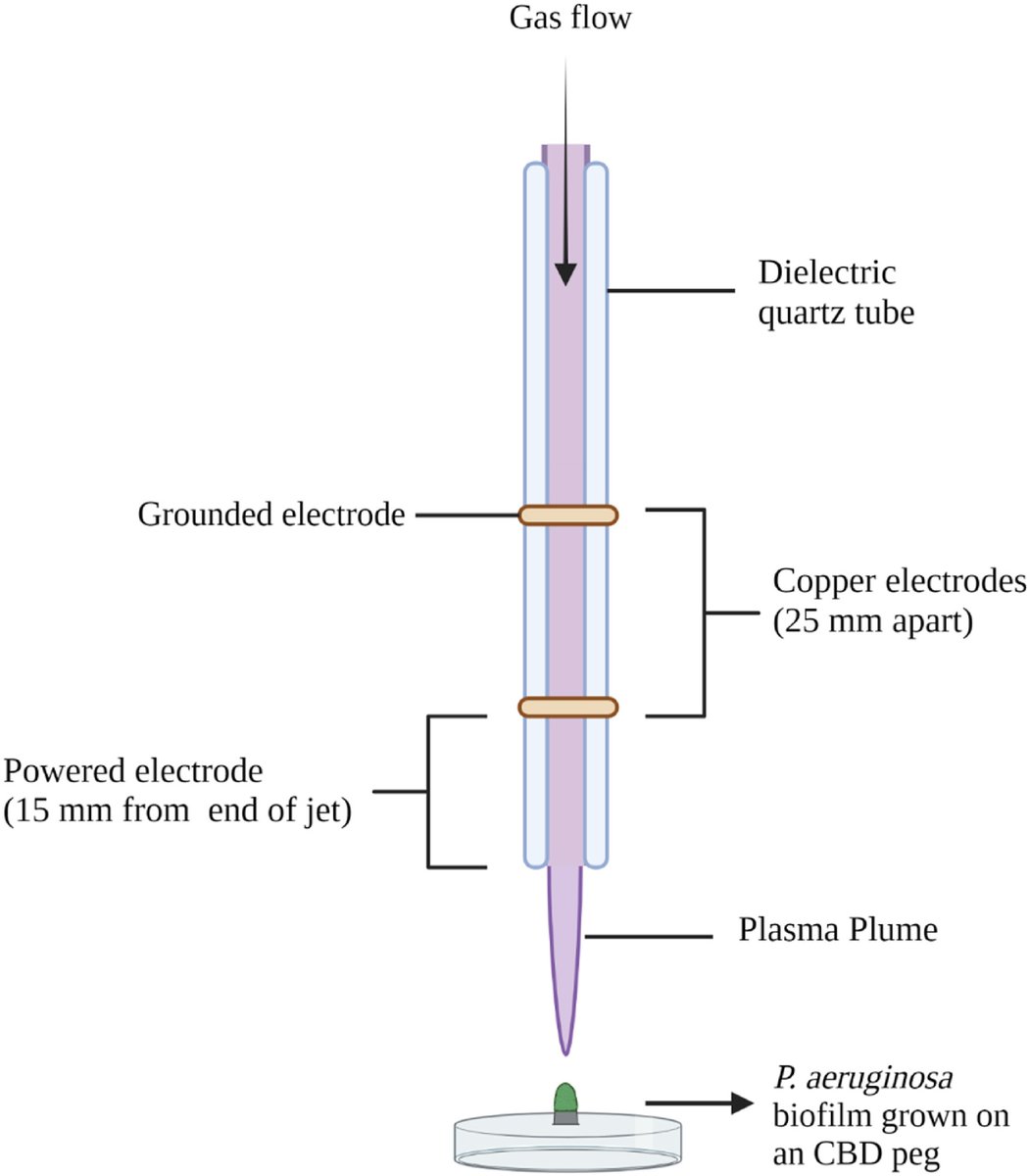 Biofilm Journal tweet media