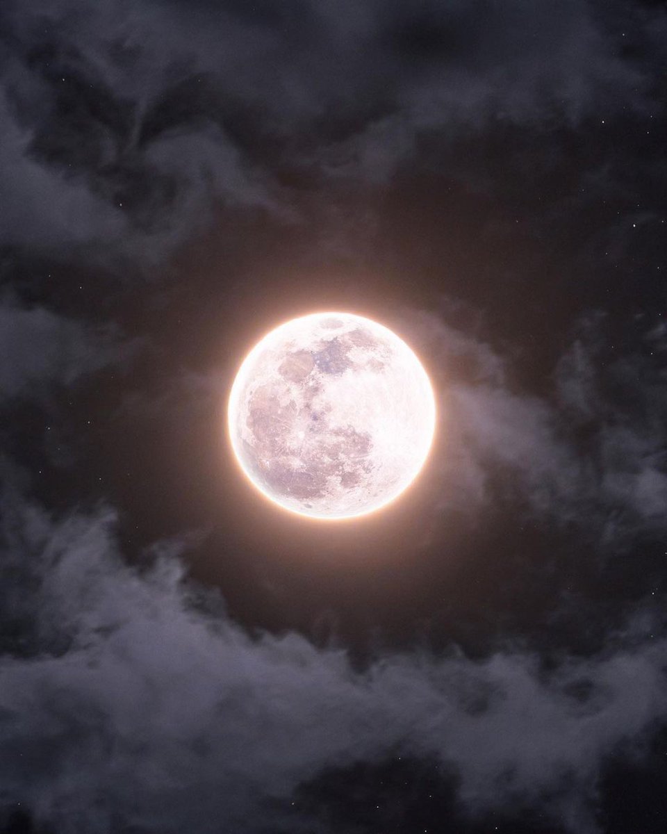 GossipRoomOff's tweet photo. 🚨 La Pleine Lune Rose du mois d’avril, observée il y a quelques jours. 🌕

📸: rami_astro (IG) https://t.co/8y2wIj7f8P