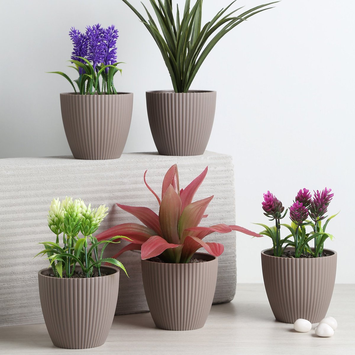 shoppersstop's tweet photo. Add a touch of green to your home decor🌵
Explore our wide range of ceramic planters in earthy tones, and subtle patterns and bring life to your living space.
Check out new collection from HOMESTOP available in stores.
And online https://t.co/srp5ompIrN
#ShoppersStop #HomeStop https://t.co/kFrMl72UHb
