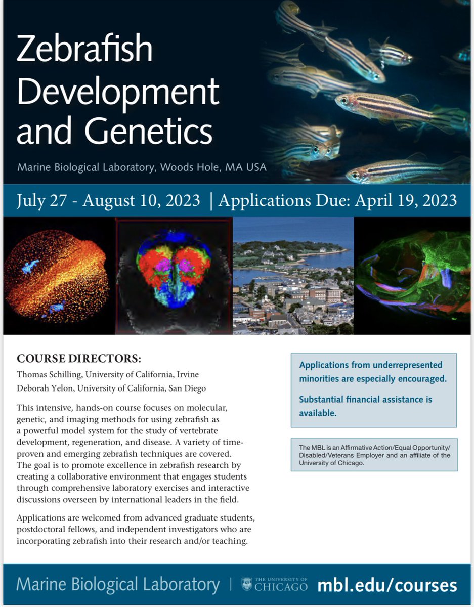 The application deadline for the Zebrafish Development &amp; Genetics course at the MBL is fast approaching! Don’t miss out on an opportunity to learn from the best scientists! I took this course 20 years ago and I love being able to give back by participating as a faculty member!