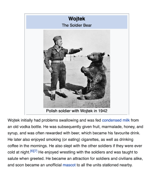 depths of wikipedia! tweet media