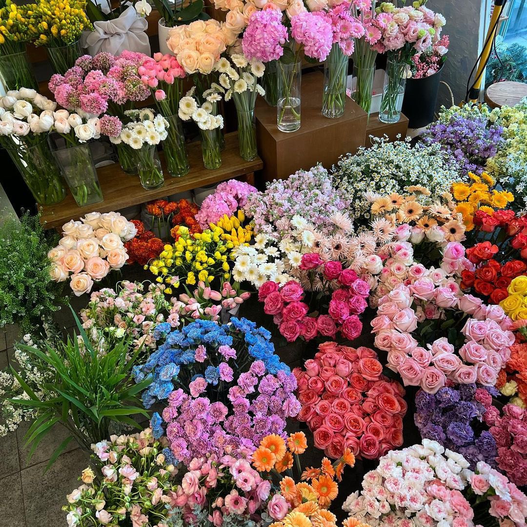 ＊꙳⸝  마곡꽃집  =͟͟͞͞˳˚॰°
   
 　 ˖ ִֶָᶤ ᶫᵒᵛᵉᵧₒᵤ ִֶָ✿ˊ˗