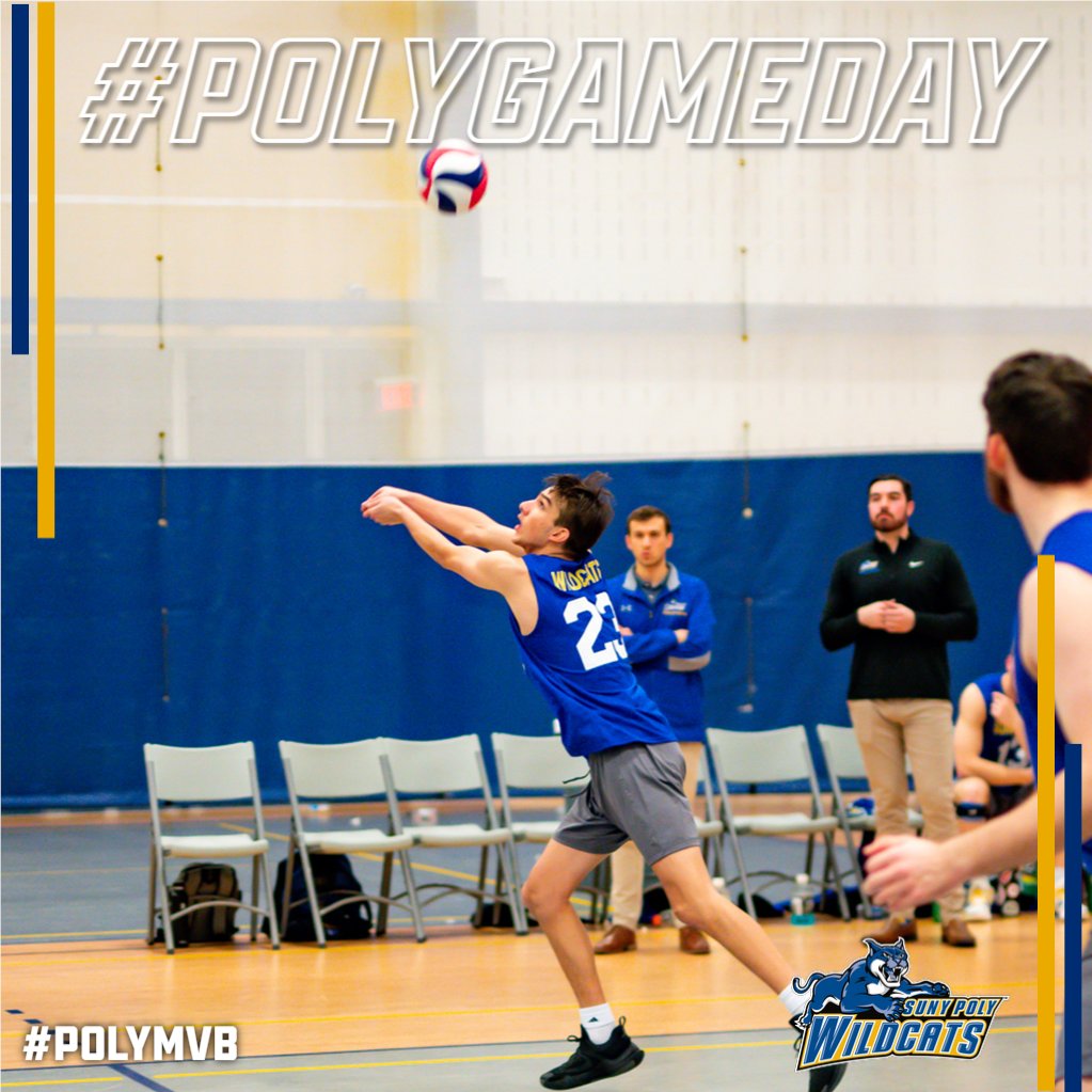 #PolyGameday🟡🔵🏐
Men's Volleyball wraps up their regular season today with a @NECCathletics game at SUNY Potsdam
🕖 - 1:00 PM
📍 - Potsdam, NY
📺📊 - Check our schedule for live coverage links! 
#PolyMVB #d3vb