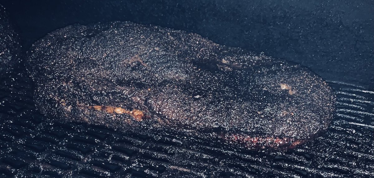 What’s on ur plate today??? <a href="/CoachNBBQ/">CoachNBBQ</a> is cooking cows! 😋