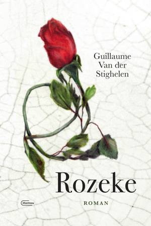 jajajelle's tweet photo. Merci @GuillaumeVdS, voor Rozeke - meeslepend verteld, ontroerend en toch sober, met een knipoog waar een traan uit kan vallen https://t.co/0qR93BBxH3
