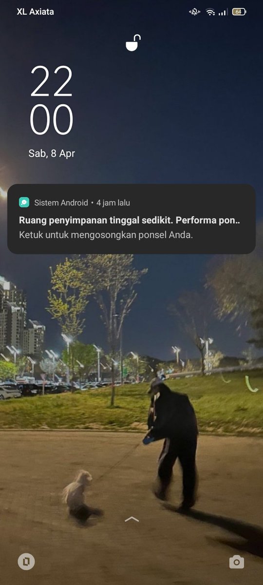 Lupilya. tweet media