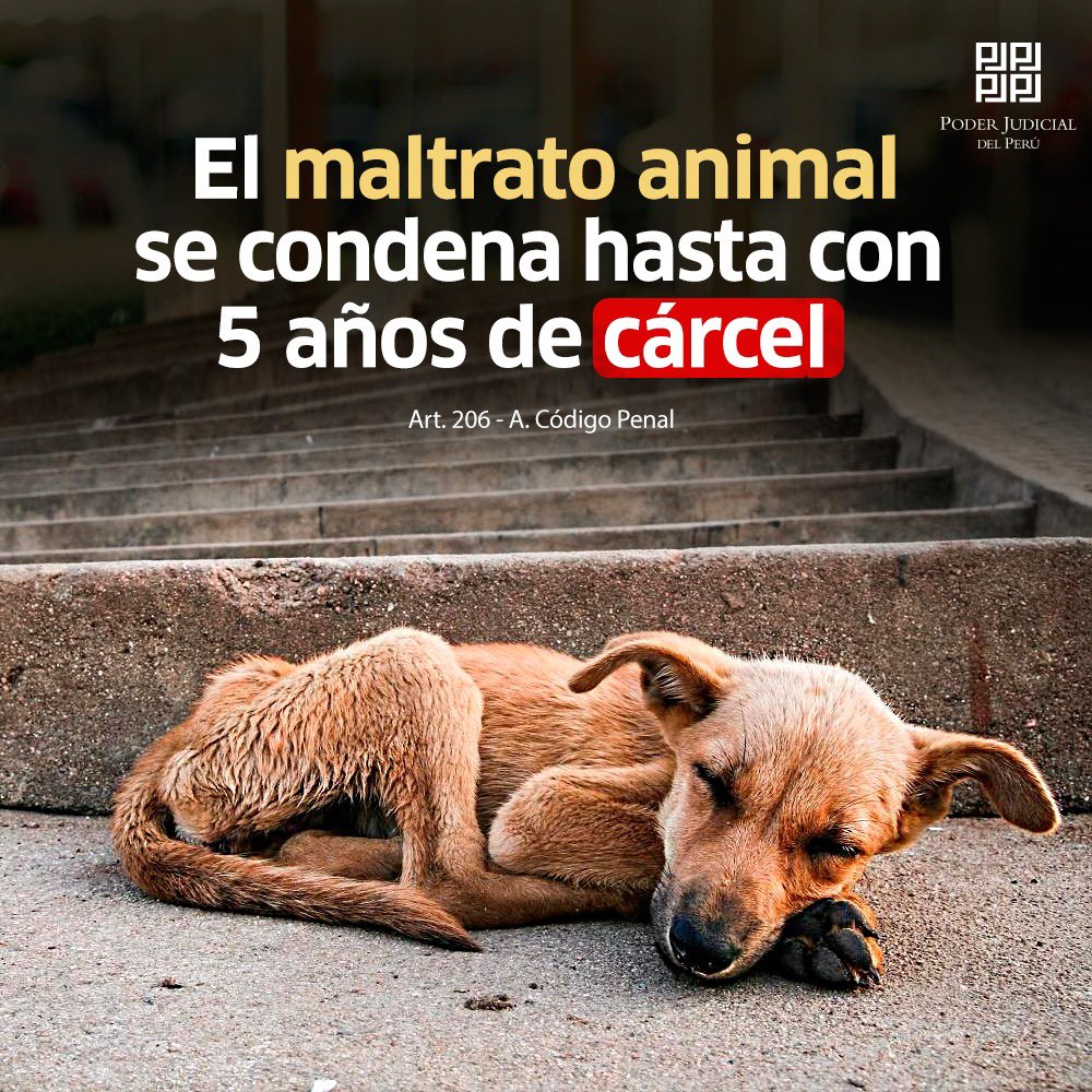 Con la Ley de Protección Animal el maltratador puede recibir hasta tres años de #prisión. Si el animal muere, la pena puede llegar a cinco años y 360 días multa. Más: goo.gl/ciQRHE 🐶