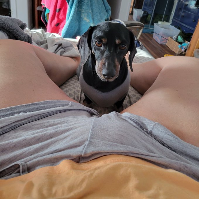Woke up to a weiner between my legs wanting loves 🤣 https://t.co/uPqEqtRPWR