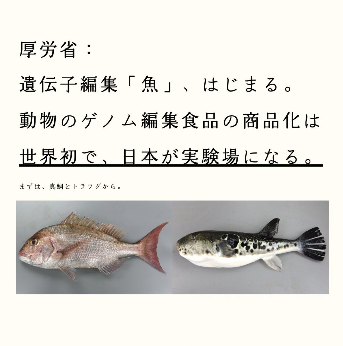 N_JoyBoy's tweet photo. 間違いないと思う警戒して良い⑥

人工牛肉 (加工肉)
人工豚肉 (代替肉)
人工鶏肉 (培養肉)
人工魚肉 (遺伝子組み換え)
人工牛乳 (発酵飲料)
人工卵 (偽たまご)
人工砂糖 (科学調味料)
人工塩 (うま味調味料)
人工醤油 (コオロギ醤油)
人工ケチャップ(カゴメ毒トマト)
人工カップヌードルPRO(添加物麺) https://t.co/52lUOCRxSY