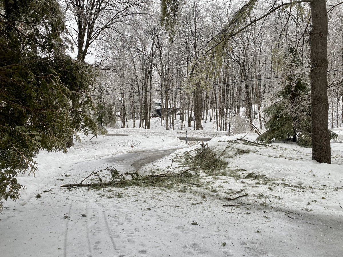 Beautiful aftermath of the ice storm. Still without power after 72hrs. Seems like the annual spring routine around here.