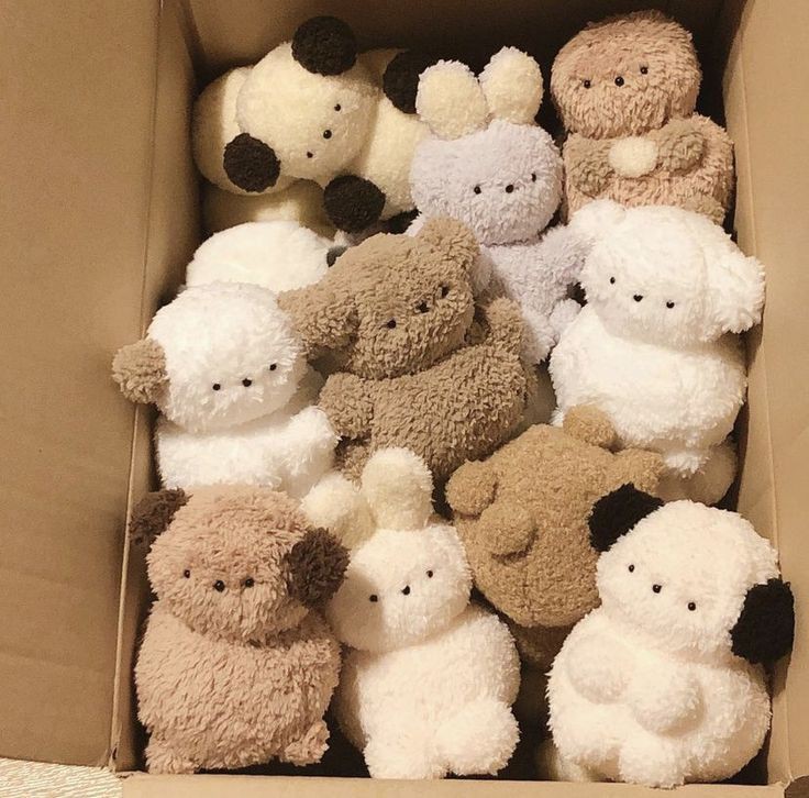 WEBAREBUDDIES 🎁 (closed) tweet media