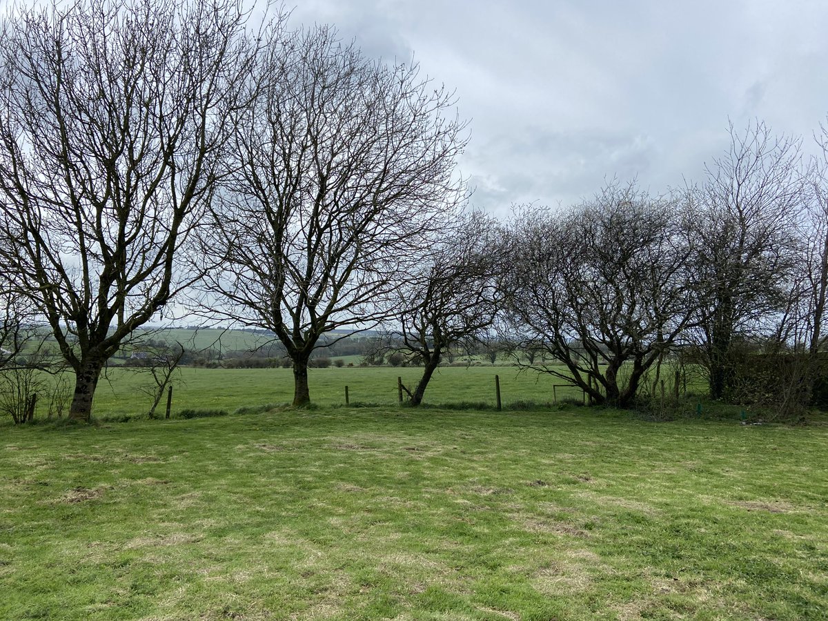 How it started, how it’s going… getting ready for those summer sunsets!