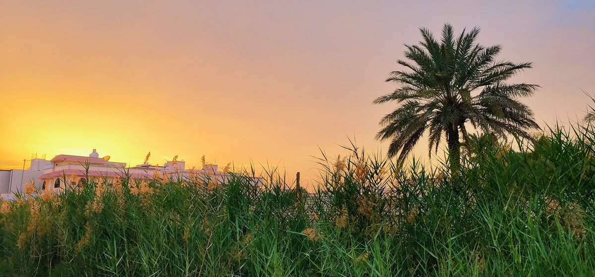 hani_690's tweet image. #Vivo
#XNote

بعدسة الفيفو اكس نوت