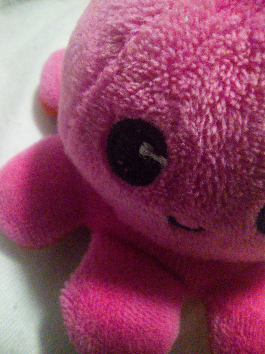 IM_HUHRUBY's tweet photo. Goodnight Cerise! 🩷

#HUHRUBY #PINK_RUBY https://t.co/hVso2eaLaH