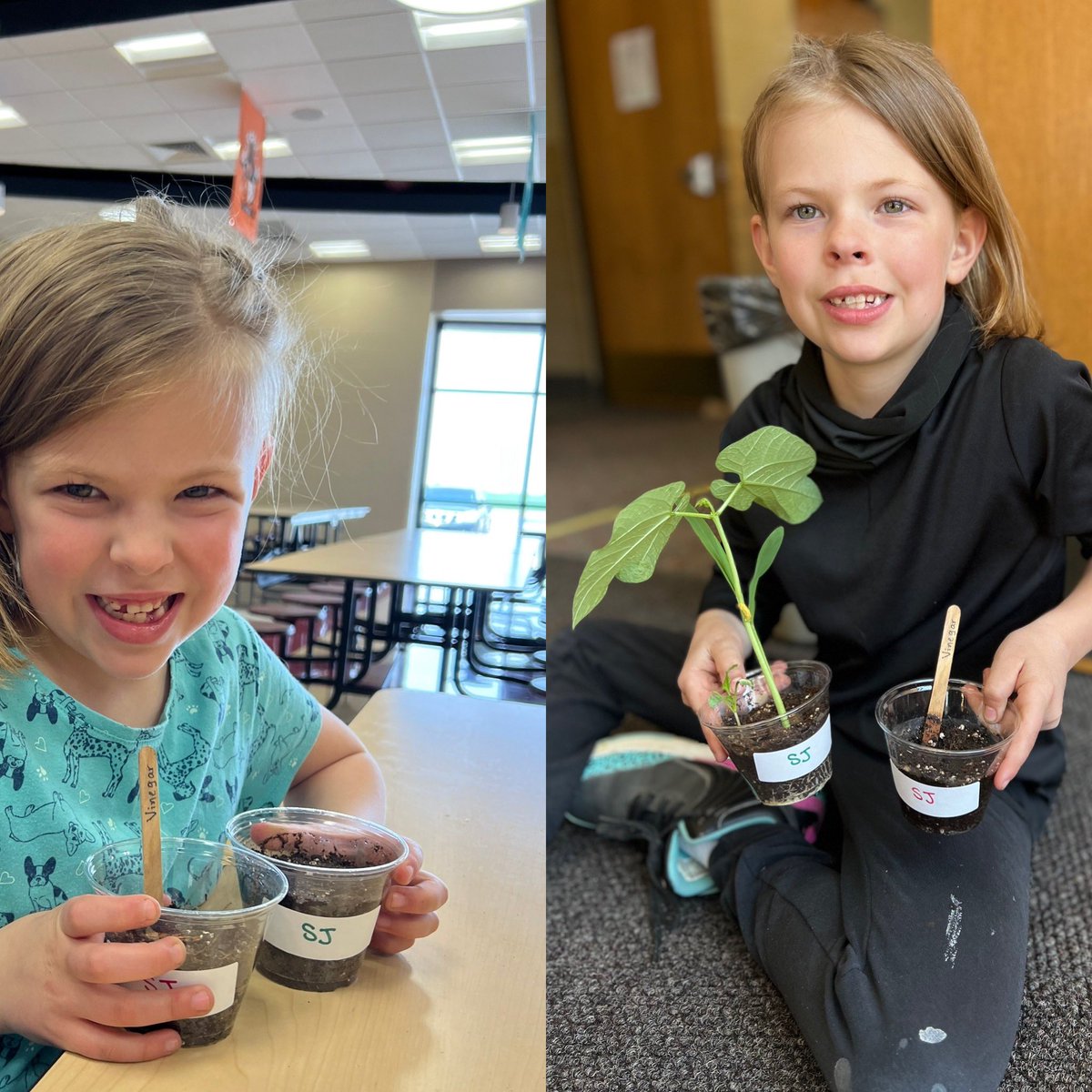 Kayla Engel tweet media