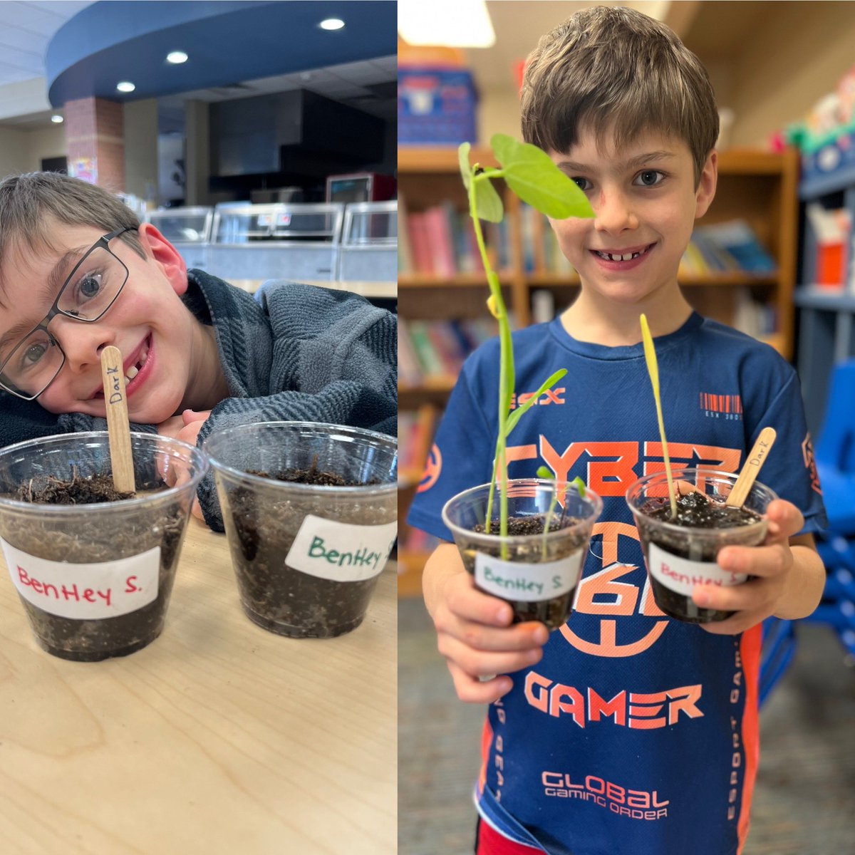 Kayla Engel tweet media