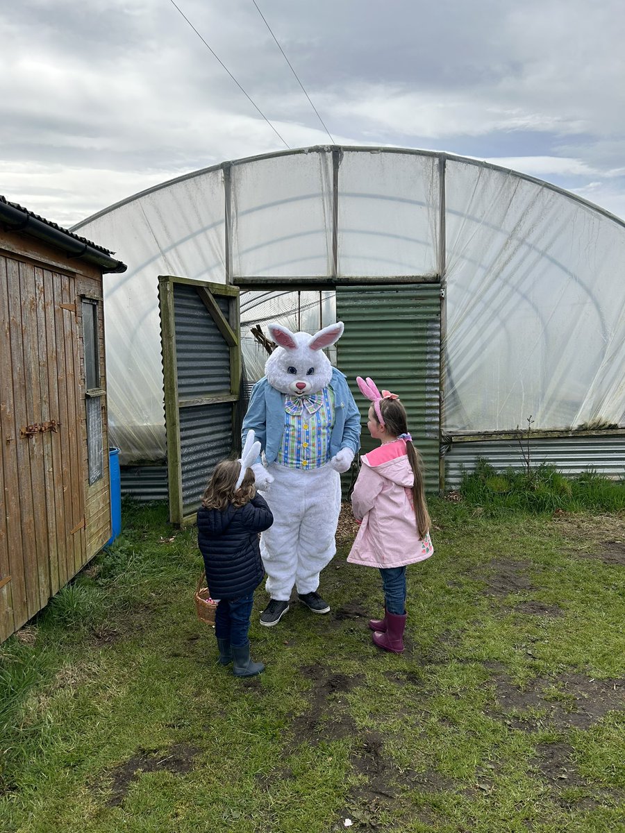 Claire7Han's tweet photo. Easter is off to the best start 🐑🐣🐰💜@BroughgammonFrm @VisitCauseway @CausewayCouncil @seanh4444
#familyfarm #familyfun #forwardthinkingfarming #Sustainability #ecofriendly #Easter2023 🐣 https://t.co/uLjJENSTwM