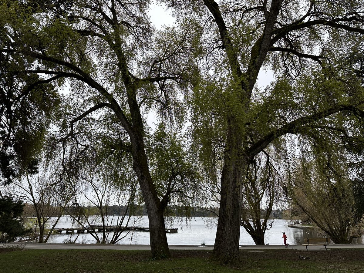 MbirdVirtualRun tweet media