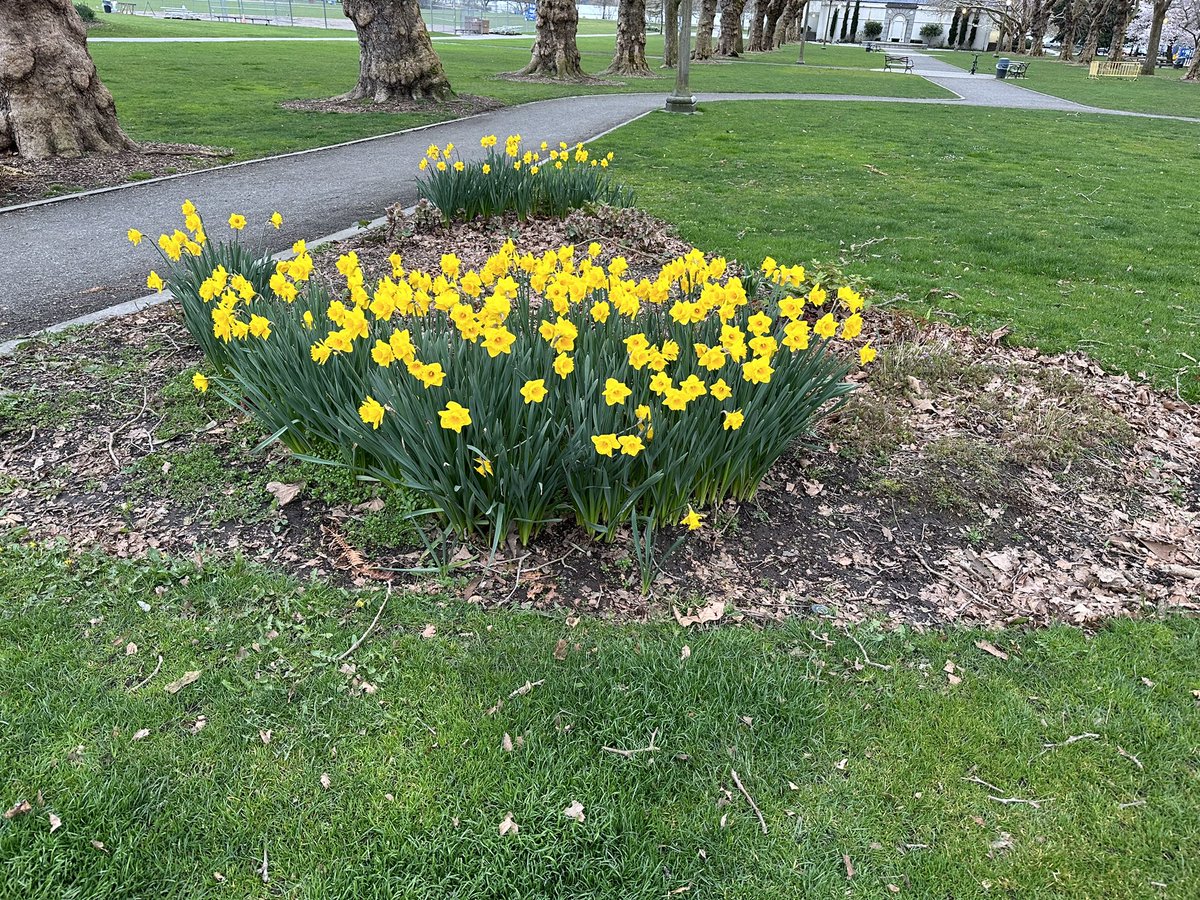 MbirdVirtualRun tweet media