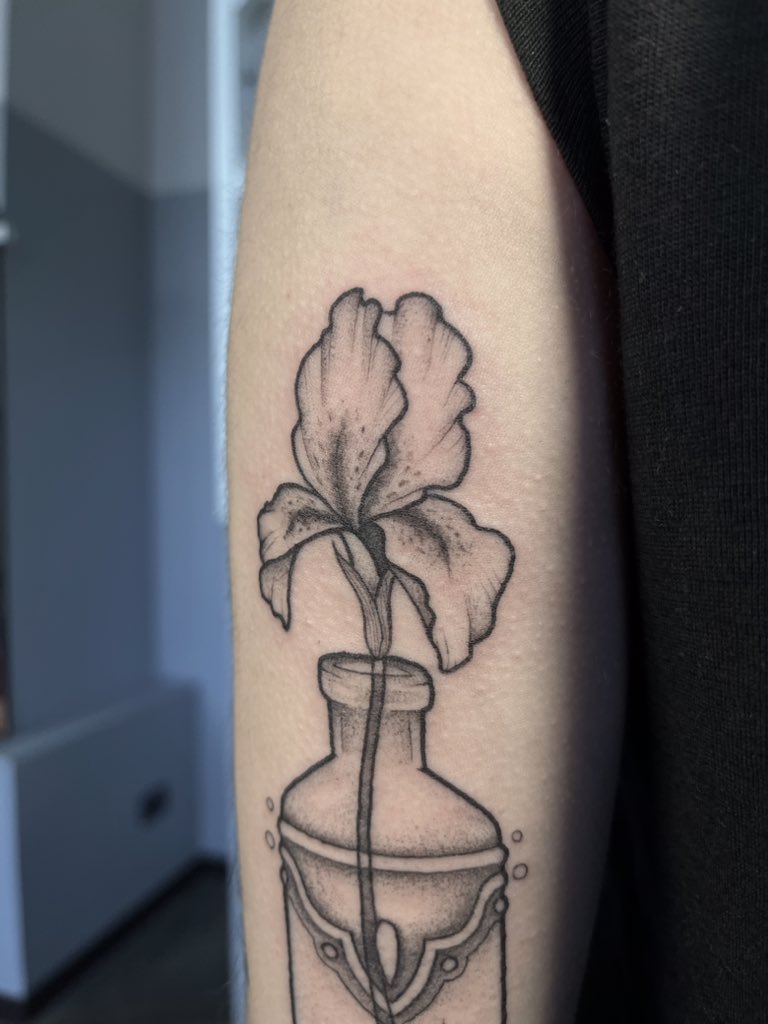 moonaudia's tweet photo. iris https://t.co/1Lsybtl8RA