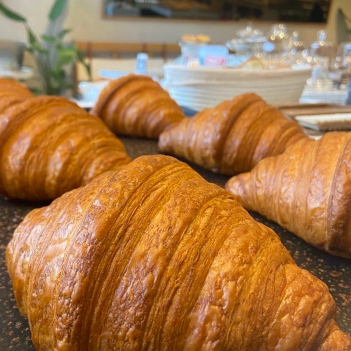 firinobakery's tweet photo. Sevdiklerinizle paylaşılacak eşsiz tatlar FIRIN'O'da. 

#fırıno #artisanbakery #bakery #gaziantep https://t.co/3VSMk9sSik