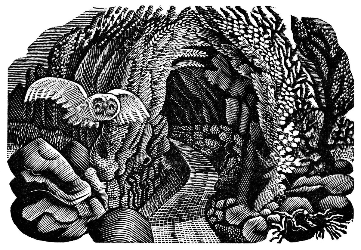 Ravilious tweet media