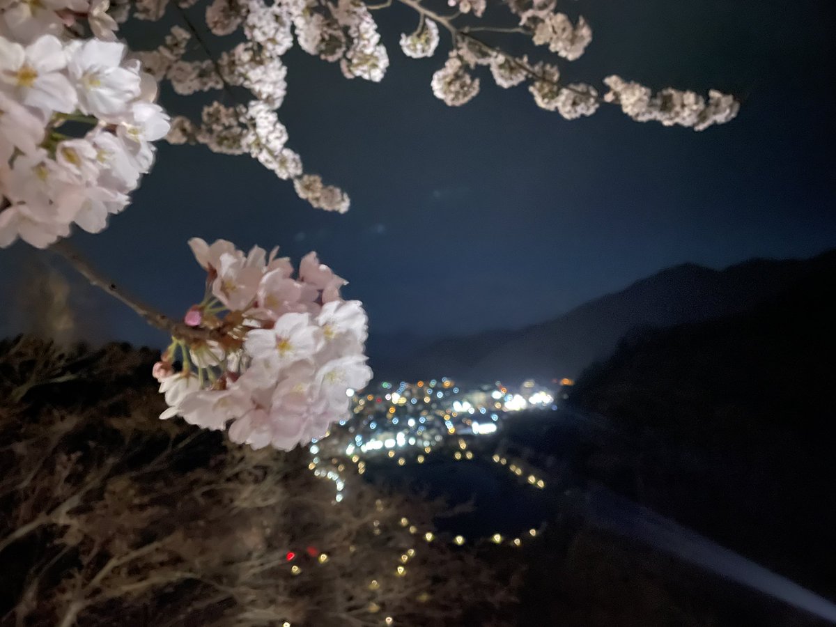 wo_shi_zhi_fen's tweet photo. #舞鶴山 https://t.co/vUUa934nxK
