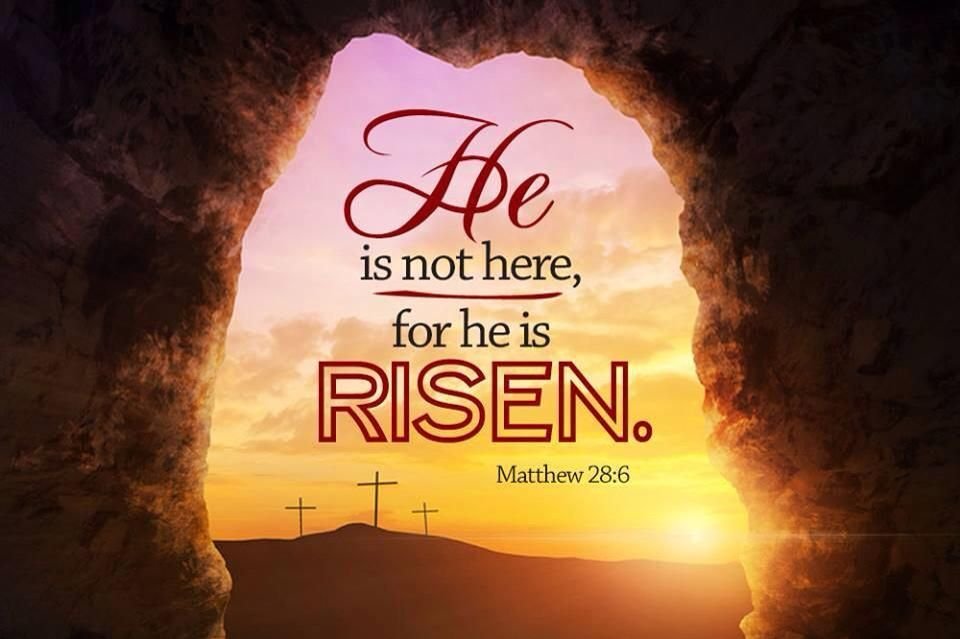 MMcLaughlinsong's tweet photo. For I know that my Redeemer lives, and at the last he will stand upon the earth. 

Job 19:25 https://t.co/FMVPoGKTmf