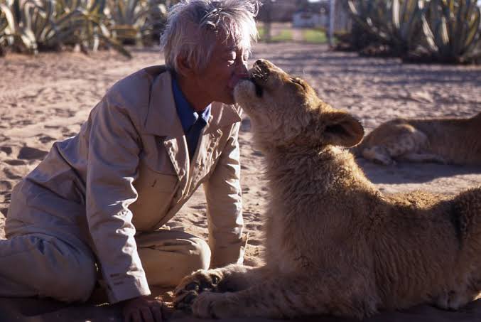 ムツゴロウさんの追悼番組を観ているのだけど、やっぱりムツゴロウさんは凄い人だと改めて思う
＃ムツゴロウさん
＃追悼番組
