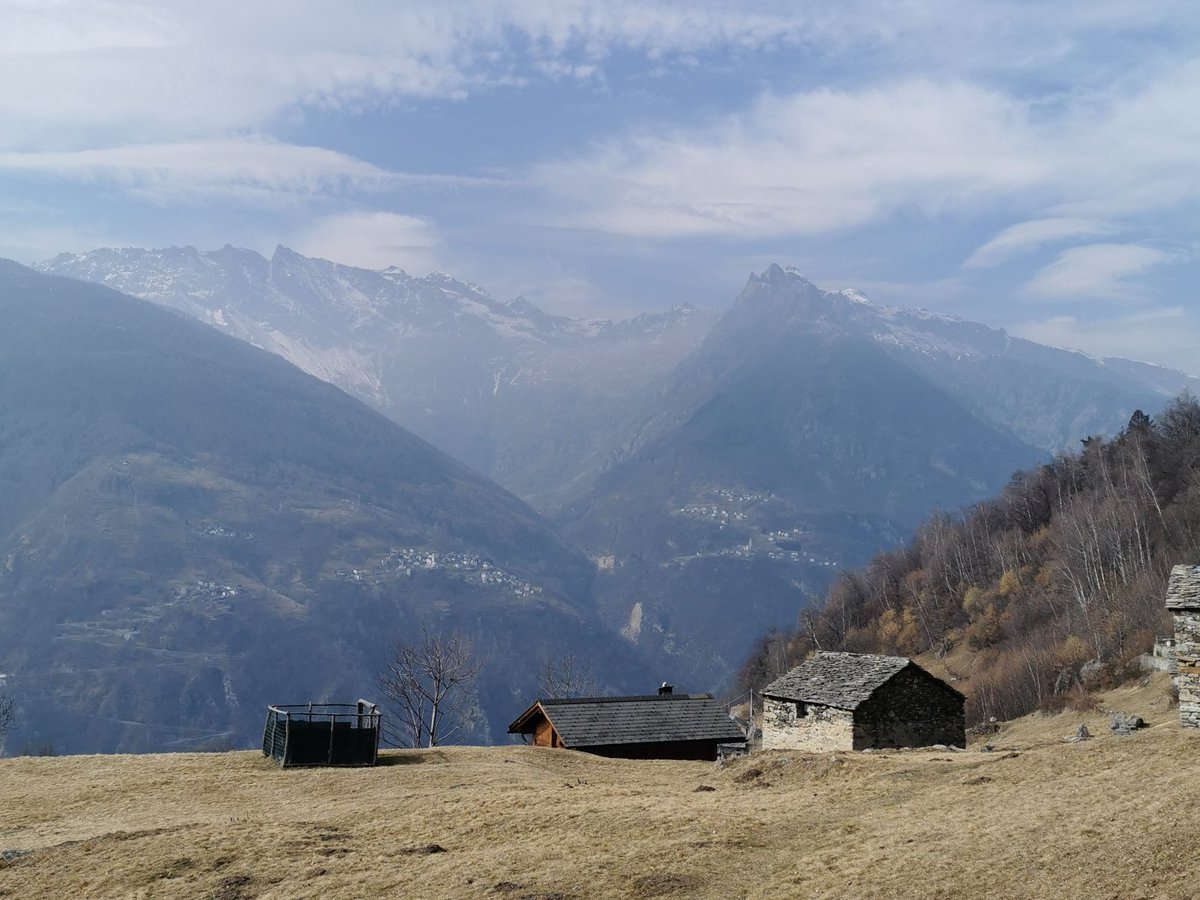 Bergsteigerschule tweet media
