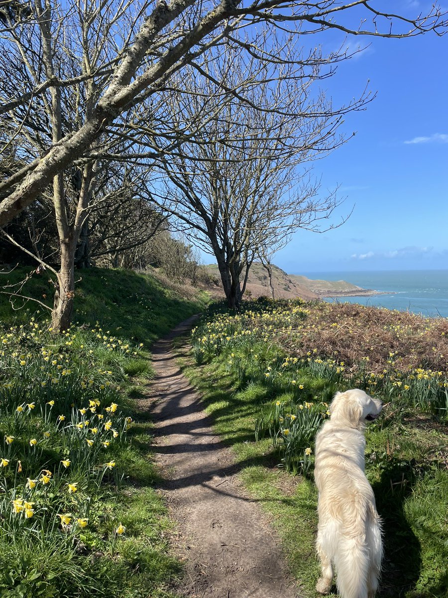 Loving our Jersey break 🇯🇪🌞<a href="/VisitJerseyCI/">Visit Jersey</a>