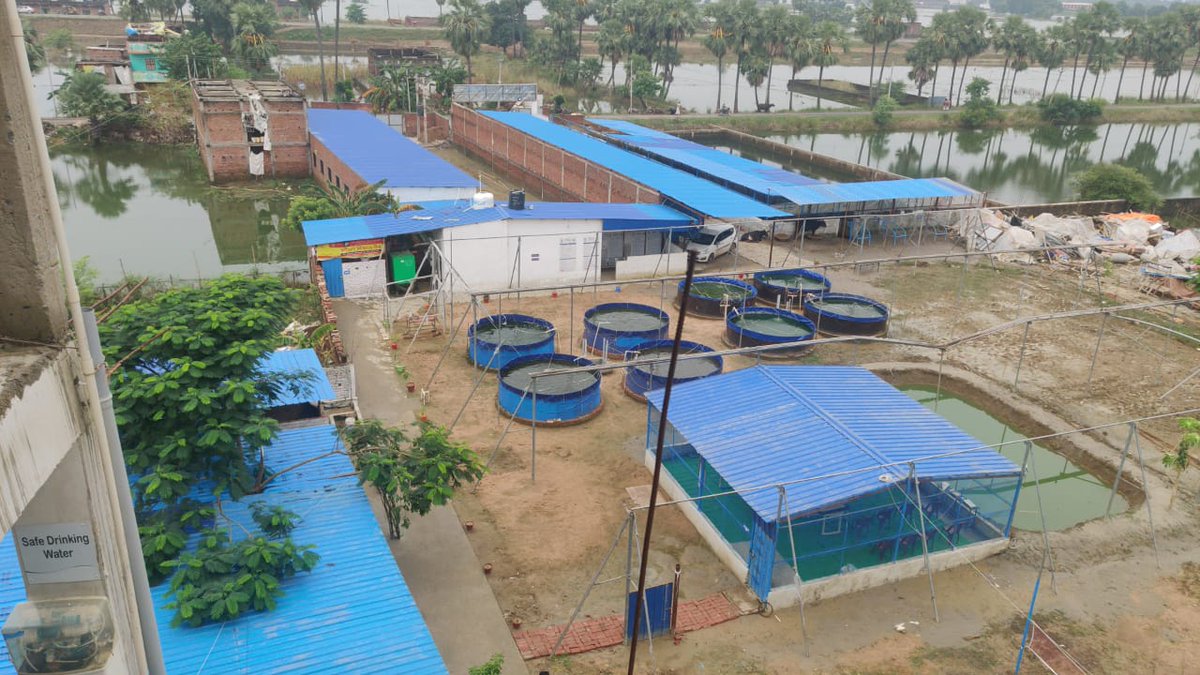 GramshreeK's tweet photo. Gramshree Kisan enabling forward -backward market linkages through it's Agri Business Centres at Block level promoting VAAS- Village as a Service
#microentrepreneurship #aggregatingtechnology
#animalhusbandry #fishery #creatinglivelihood #empoweringfarmers #ruraldevelopement https://t.co/z8dt9cW2oI