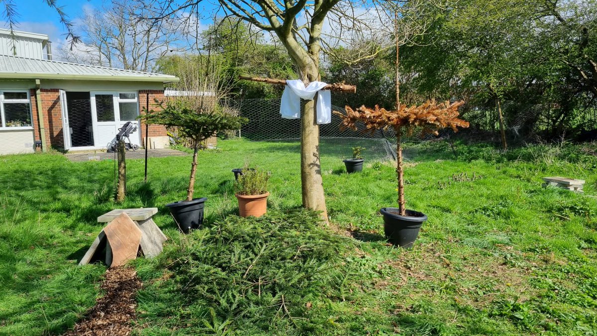 Gosport_Church's tweet image. #calvary 
#muddychurch 
#hope #tomb
#EasterGarden