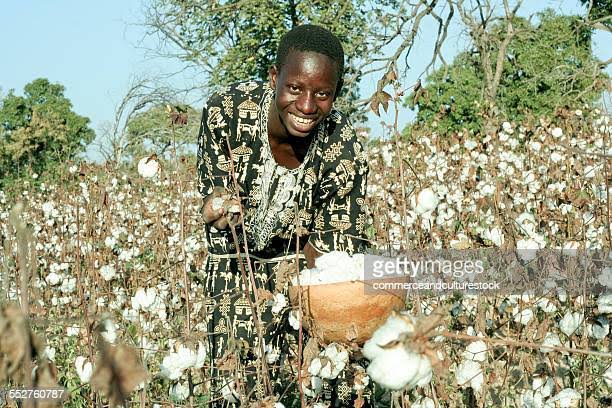 NaiManjil's tweet photo. @Dramxz @stats_feed Please collect cotton.... https://t.co/NBUtRHTcVt