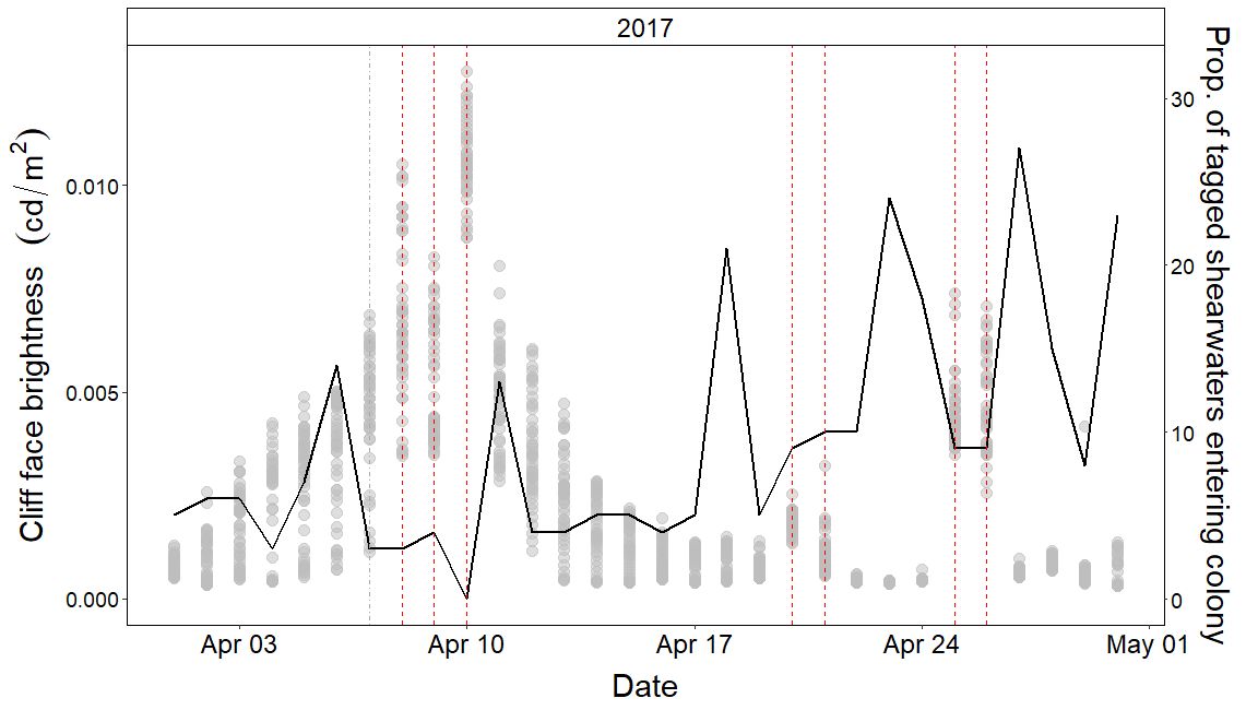 Checked out our new paper yet? Light pollution from ships illuminate seabird cliffs and decreases yelkouan  shearwater colony attendance. Calling on <a href="/TransportMalta/">Transport Malta</a> and <a href="/sostenibilitamt/">Sostenibilità</a>  to adopt proposed measures. link.springer.com/article/10.100…  <a href="/jlugiessen/">Universität Gießen</a> <a href="/BirdLife_Malta/">BirdLife Malta</a>