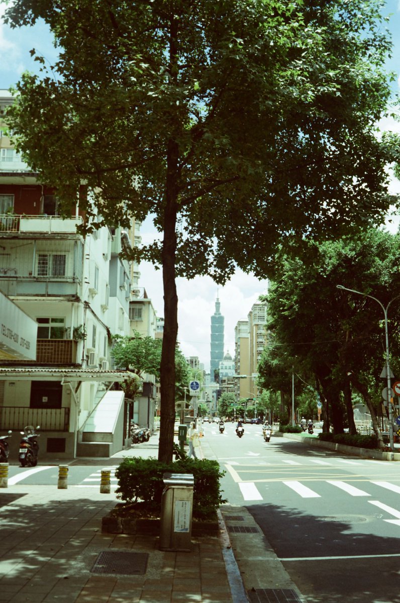 becasual_'s tweet photo. 在整理房間的時候發現一卷去年沒洗的底片，這大概是台北春天的樣子

少了潮濕的水氣，多了和煦的陽光，在炎熱的夏天前，這樣的台北是我喜歡的 https://t.co/k7Lm8IhsfR