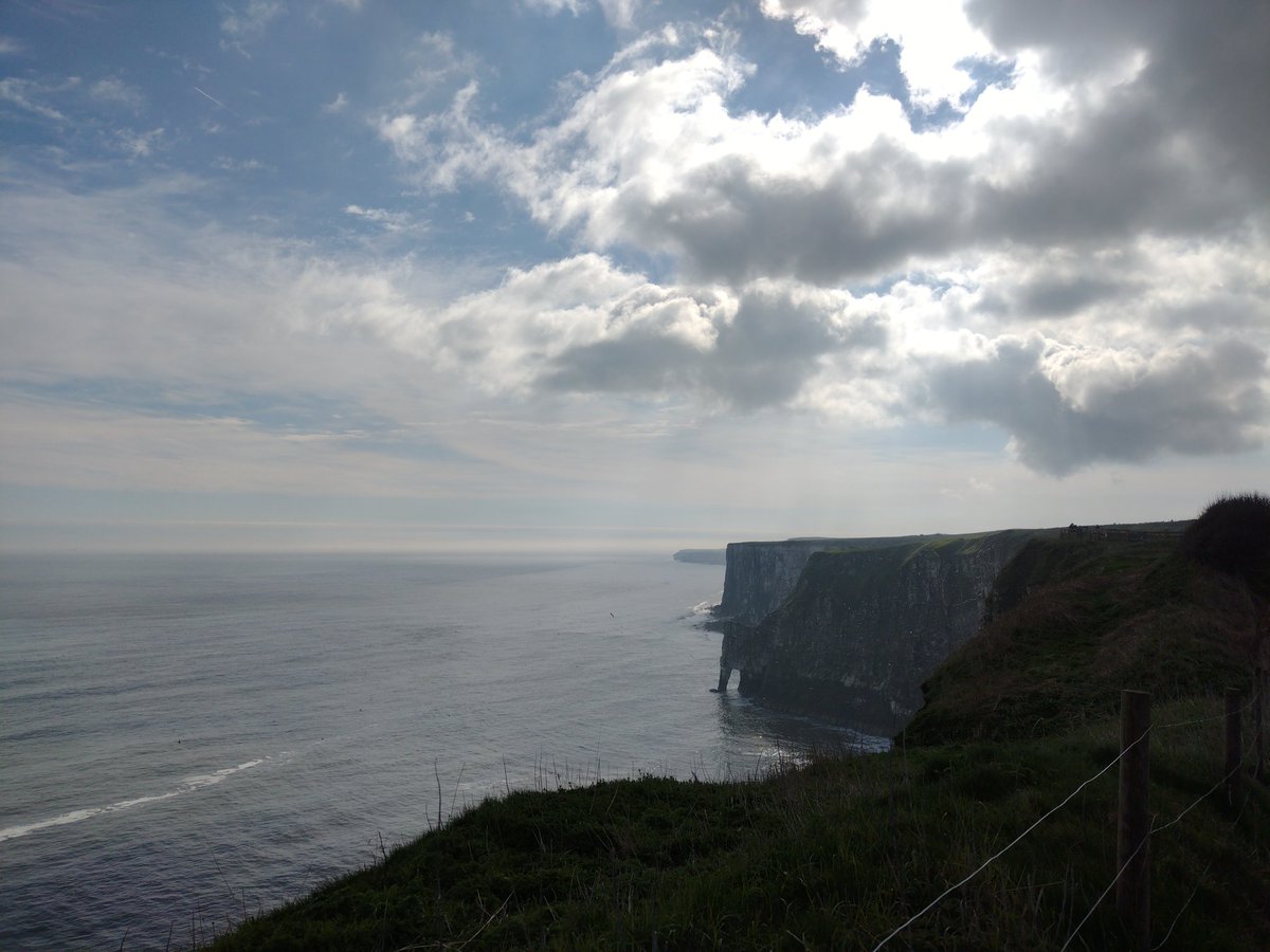 basham_mark's tweet photo. As requested @Bempton_Cliffs from your camera #BemptonPuffin Photo Post. We had a lovely walk and saw lots of the Barn Owl hunting :โ -โ ) https://t.co/DwgbqLluF7
