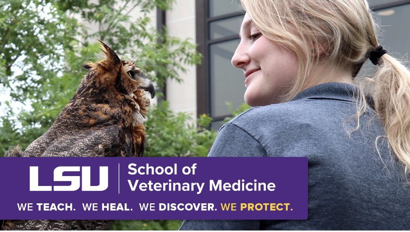 lsuvetmeddean's tweet photo. We will never forget our duty to protect Louisiana! Whether it’s the natural treasures presenting to our Wildlife Hospital, delivering essential diagnostic tests from #LADDL, or rescuing animals & people when disaster strikes, we are ready. #LSUVetMed #BetteringLives #WeProtect https://t.co/vTC9z2WwAW