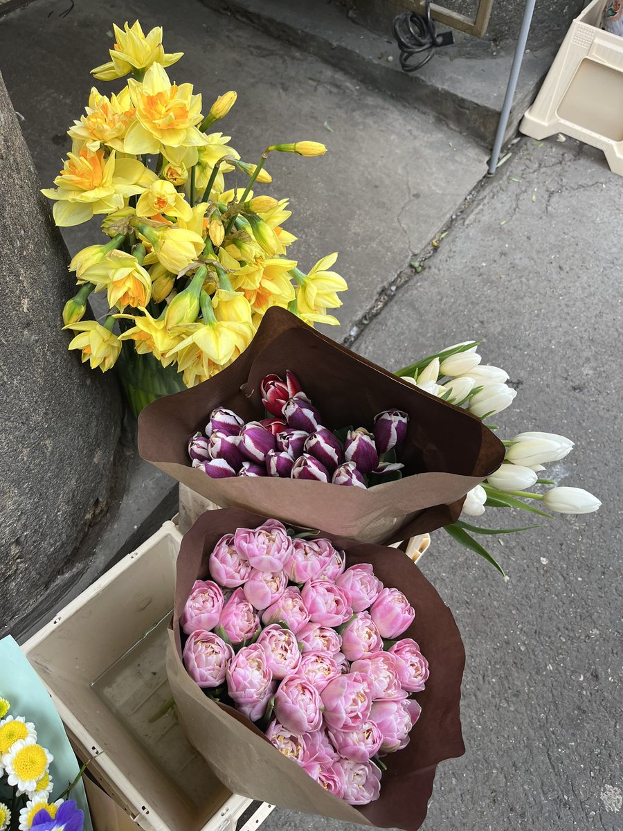 okeyjulia's tweet photo. tulipanes y más tulipanes https://t.co/viRqRybvmv