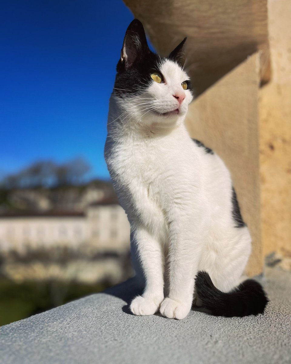 France de France tweet media